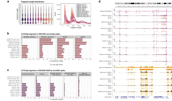 Quality control metrics for CUT&Tag data (Abbasova L et al., 2025)
