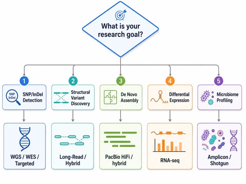 Research Question to NGS Strategy Decision Tree